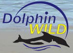Dolphin Wild - Attractions Sydney 0