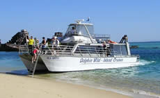 Dolphin Wild - Attractions Sydney 2