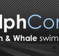 Dolphcom - Dolphin  Whale Swimming Adventures - Attractions Sydney