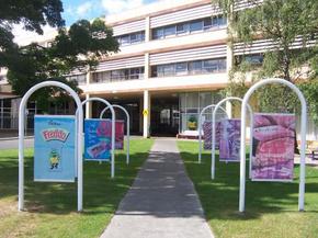 Cadbury Chocolate Factory Tour - Attractions Sydney 2