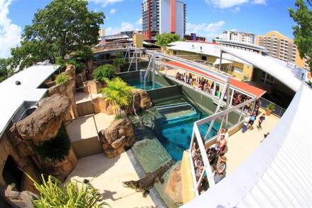 Crocosaurus Cove - Attractions Sydney 1