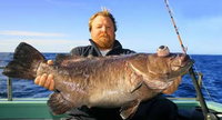 Book Cronulla Accommodation Vacations Attractions Sydney Attractions Sydney