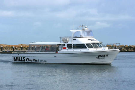 Mills Charters Fishing And Whale Watch Cruises - Attractions Sydney 1