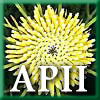 Australian National Botanic Gardens - Attractions Sydney 1