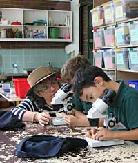Australian National Botanic Gardens - Attractions Sydney 2
