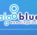 Ningaloo Blue Dive - Attractions Sydney