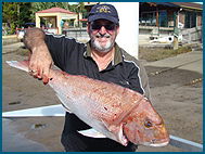 Odyssey Charters - Attractions Sydney 1
