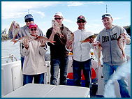 Odyssey Charters - Attractions Sydney 2