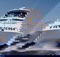 Sunshine Coast Fishing Charters - Attractions Sydney