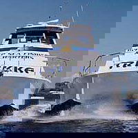 Sunshine Coast Fishing Charters - Attractions Sydney 0