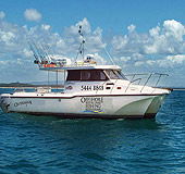 Sunshine Coast Fishing Charters - Attractions Sydney 1