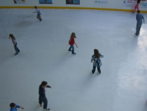 Liverpool Catholic Club Rink - Attractions Sydney 3