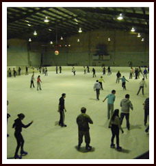 Bendigo Ice Stadium - Attractions Sydney 1