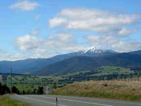 Buller View Wines - Attractions Sydney 2