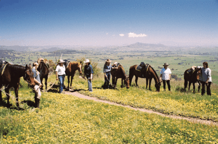 Watsons Trail Rides - Attractions Sydney 1