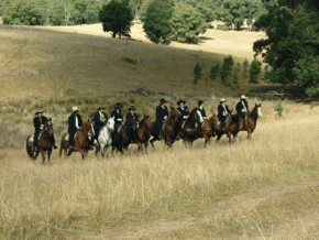 McCormacks Mountain Valley Trail Rides - Attractions Sydney