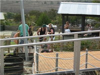 Book Glenunga Accommodation Vacations Attractions Sydney Attractions Sydney