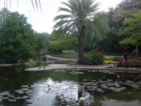 Brisbane City Botanic Gardens - Attractions Sydney 0