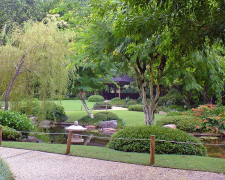 Brisbane City Botanic Gardens - Attractions Sydney 1