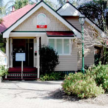 Brisbane City Botanic Gardens - Attractions Sydney 2