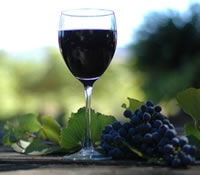 Book Mount Helena Accommodation Vacations Attractions Sydney Attractions Sydney