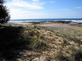 Deepwater National Park - Attractions Sydney 0