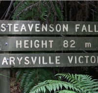 Stevensons Falls - Attractions Sydney