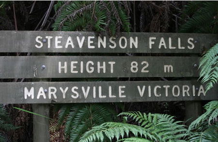 Stevensons Falls - Attractions Sydney 0