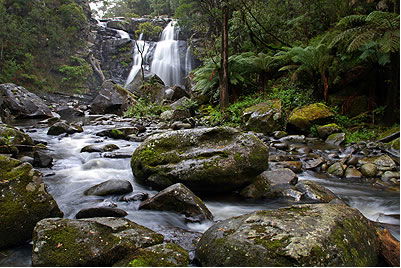 Stevensons Falls - Attractions Sydney 2