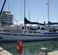Coral Sea Dreaming Dive and Sail - Attractions Sydney