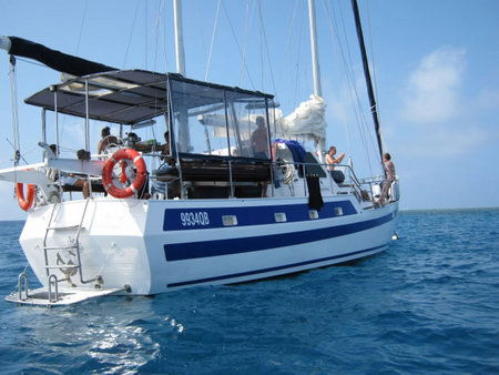 Coral Sea Dreaming Dive And Sail - Attractions Sydney 3