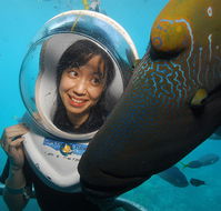 Sunlover Reef Cruises - Attractions Sydney