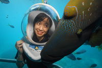 Sunlover Reef Cruises