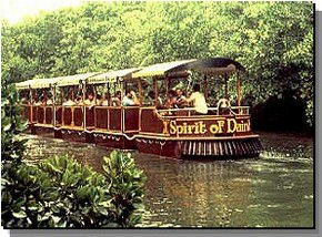 Daintree Rainforest River Trains - Attractions Sydney 0