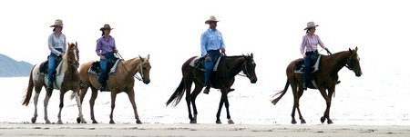 Wonga QLD Attractions Sydney