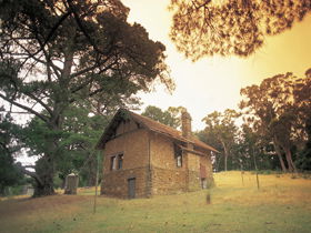 Heysen - The Cedars - Attractions Sydney 0