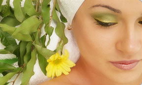 Indica Spa - Attractions Sydney 1