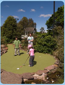Wetlands Mini Golf - Attractions Sydney 0