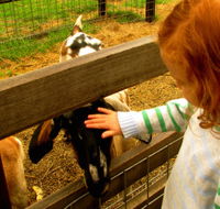 Collingwood Children's Farm - Attractions Sydney