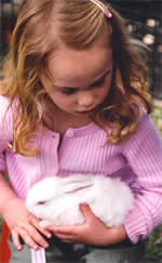 Heritage Craft Fair - Attractions Sydney 2