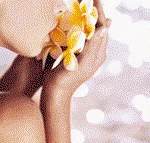 Tranquillity Spa  Beauty - Attractions Sydney