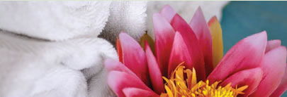 Regeneration Health Spa - Attractions Sydney 2