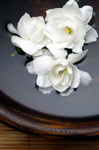 Temple Skincare - Attractions Sydney 2