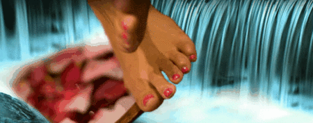 Cove Spa - Attractions Sydney 6