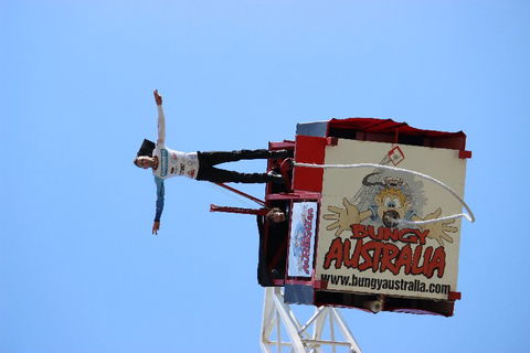 Kingston Park Raceway Go Karting - Attractions Sydney 6