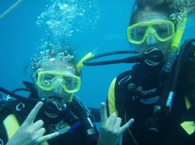 Snorkel Safari Brisbane - Attractions Sydney 5