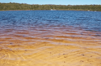 Beach Trekkers North Stradbroke Island - Attractions Sydney 1