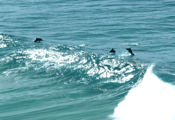 Beach Trekkers North Stradbroke Island - Attractions Sydney 2