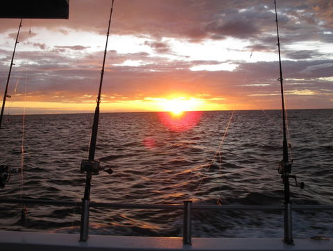 Blue Juice Charters - Attractions Sydney 5