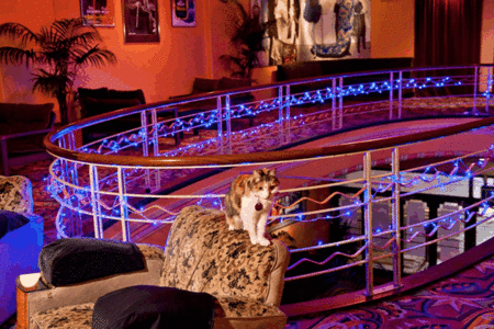 The Astor Theatre - Attractions Sydney 3